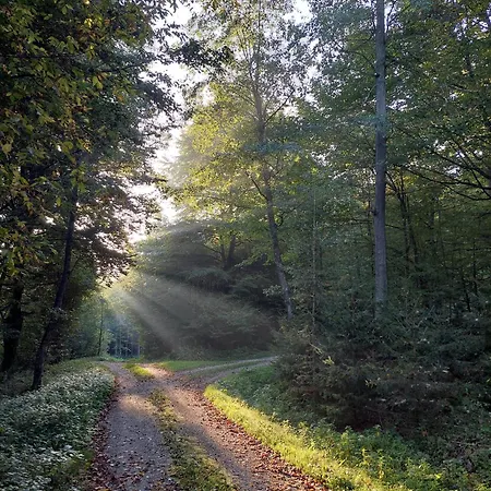 Stylish Getaway At Austrian Renaissance Castle Appartement Kalsdorf bei Ilz