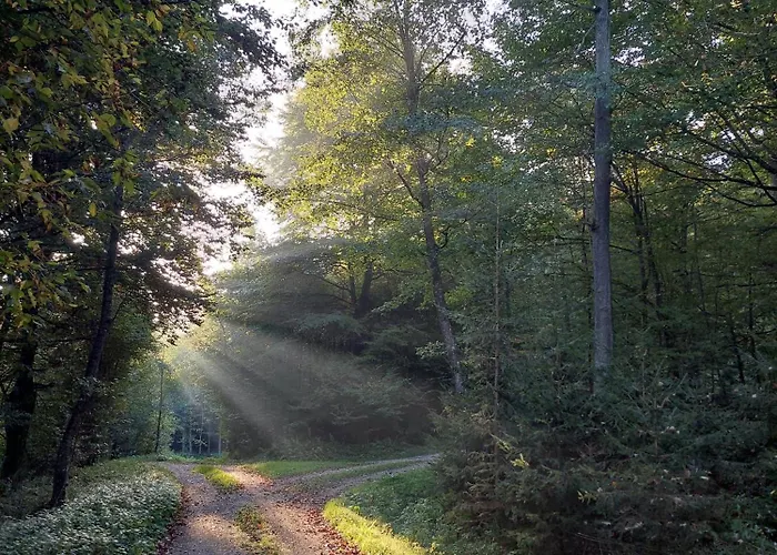 Stylish Getaway At Austrian Renaissance Castle 公寓 Kalsdorf bei Ilz